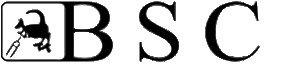 BSC