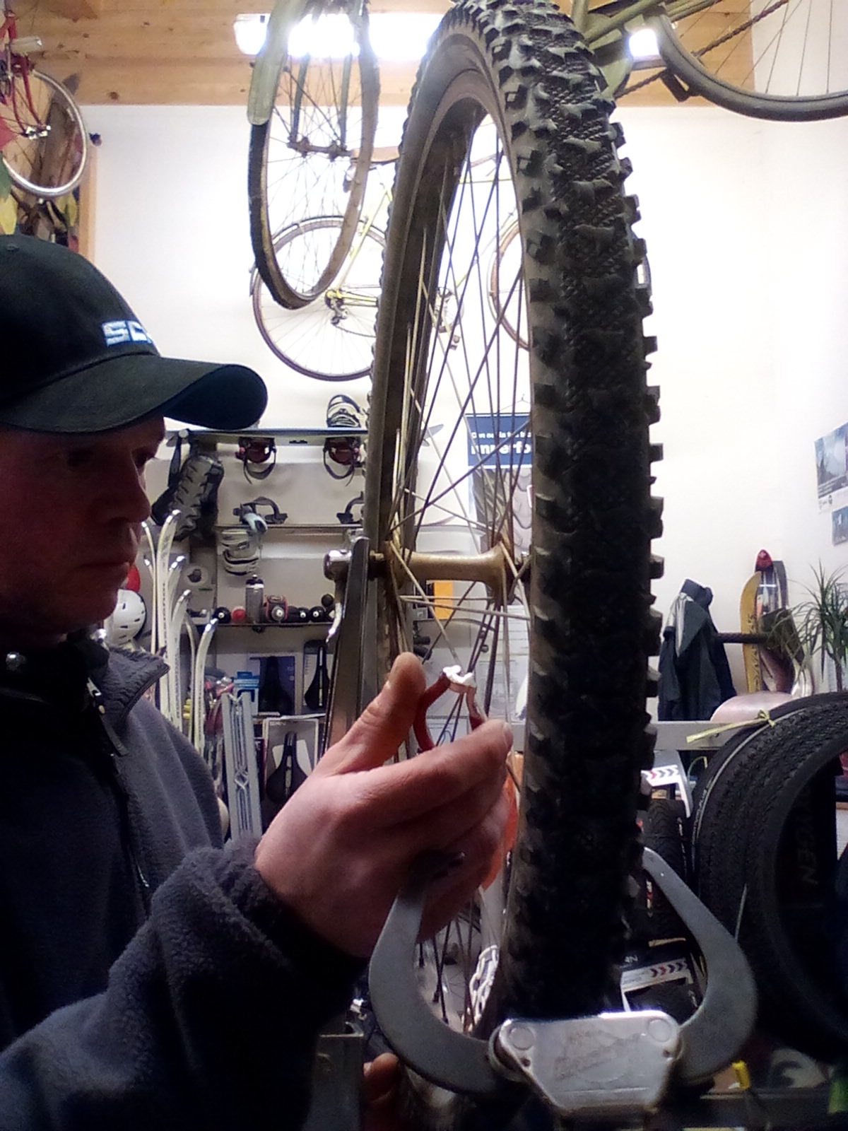 officina bici